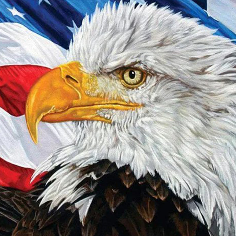 American Eagle | Jigsaw Puzzle Australia