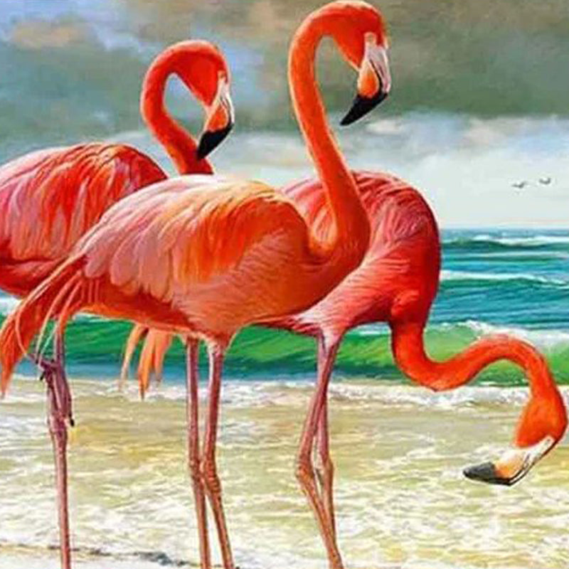 Beach & Flamingos Jigsaw Puzzle Australia