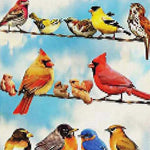 Load image into Gallery viewer, Birds on a Wire Jigsaw Puzzle Australia
