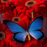 Load image into Gallery viewer, Butterfly In Flowers | Jigsaw Puzzle Australia
