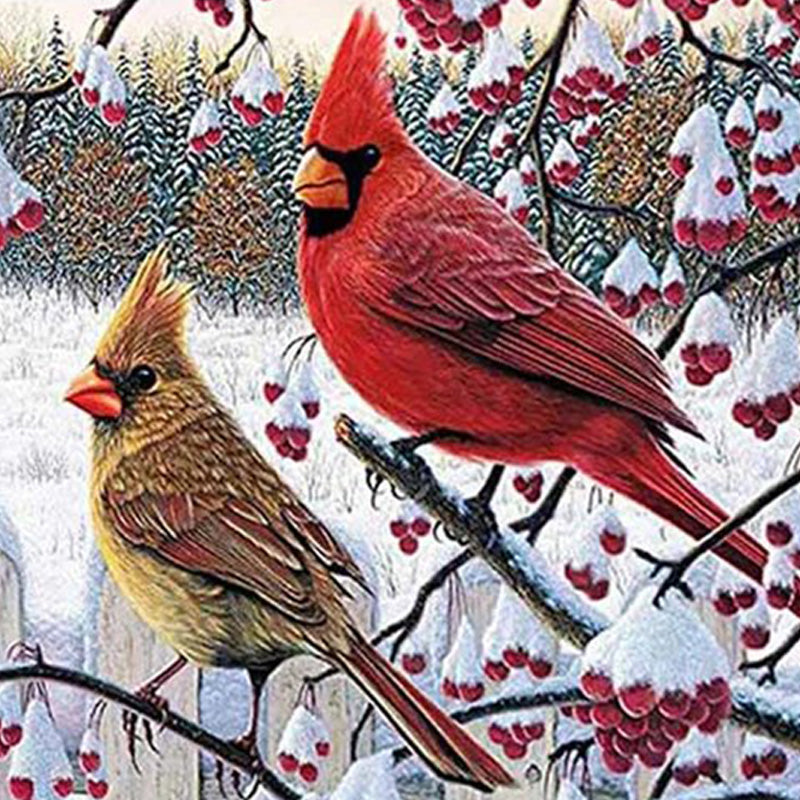 Cardinal Bird Jigsaw Puzzle Australia