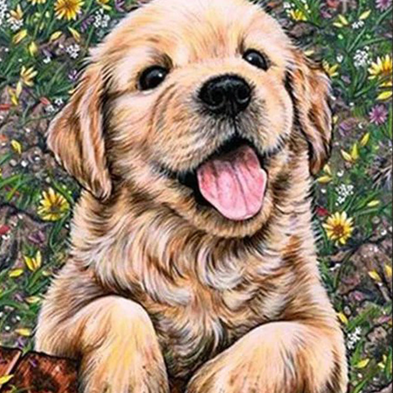 Cute Dog Puppy | Jigsaw Puzzle Australia