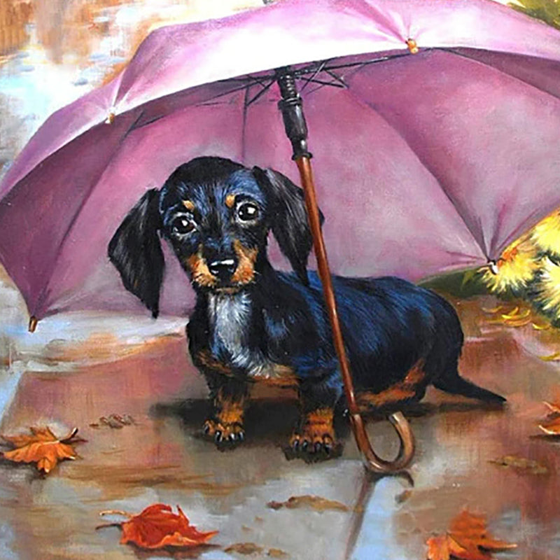 Dog In An Umbrella | Jigsaw Puzzle Australia