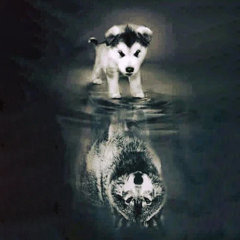 Husky Wolf Reflection | Jigsaw Puzzle Australia