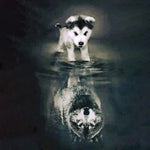 Load image into Gallery viewer, Husky Wolf Reflection | Jigsaw Puzzle Australia
