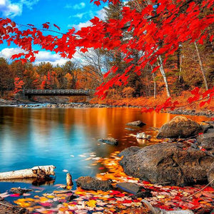 Maple Leaf Forest Lake | Jigsaw Puzzle Australia