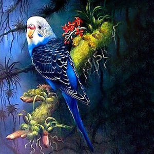 Parrot At Night | Jigsaw Puzzle Australia