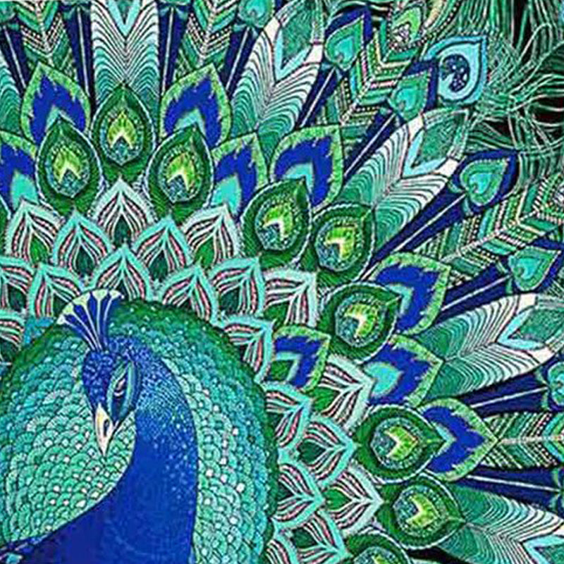 Peacock Beauty Jigsaw Puzzle Australia