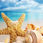 Load image into Gallery viewer, Sandy Shells Jigsaw Puzzle Australia
