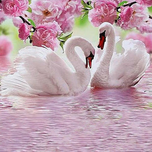 Swan In Love | Jigsaw Puzzle Australia