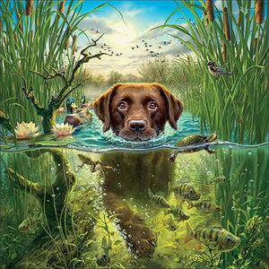 Swimming Dog | Jigsaw Puzzle Australia