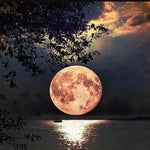 Load image into Gallery viewer, The Full Moon | Jigsaw Puzzle Australia
