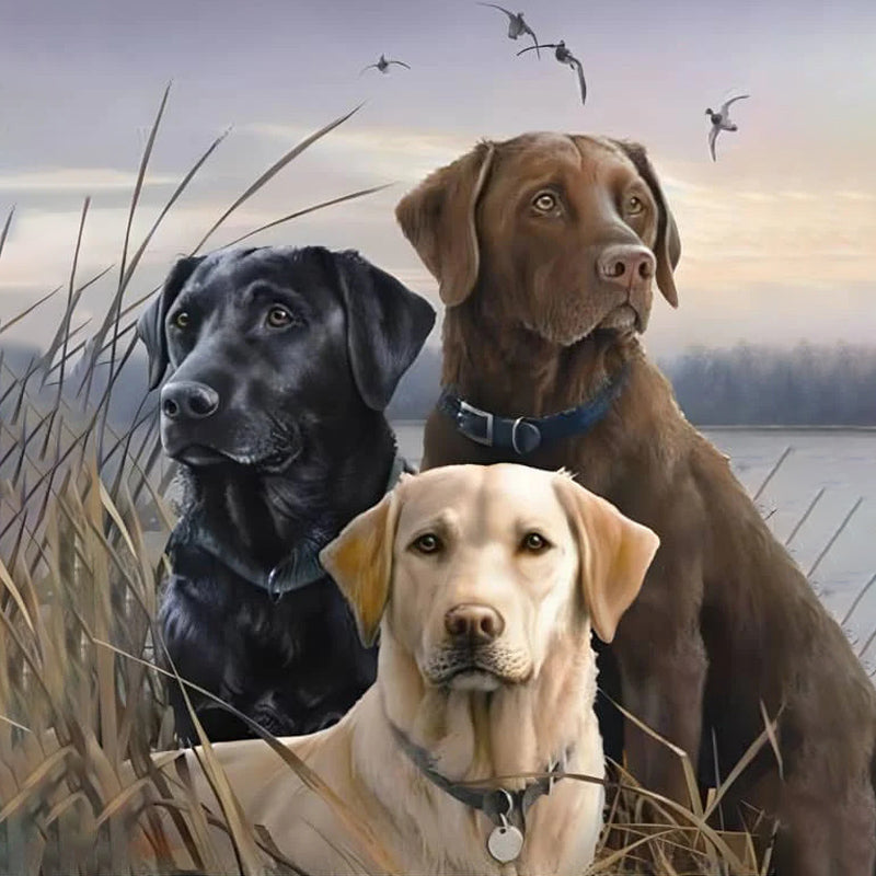 Three Dogs In A Field | Jigsaw Puzzle Australia