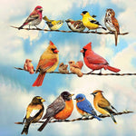 Load image into Gallery viewer, Variety Of Birds | Jigsaw Puzzle Australia
