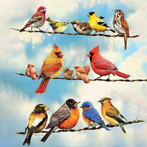 Variety Of Birds | Jigsaw Puzzle Australia